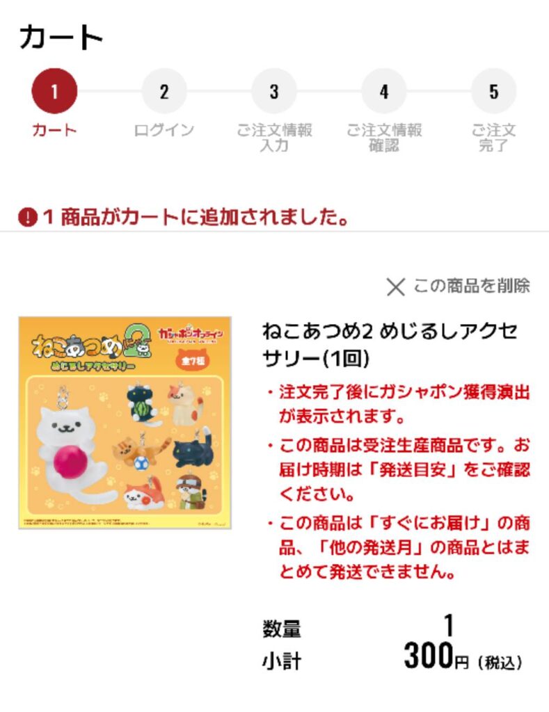 めじるしアクセサリー　購入まで